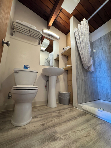 Bathroom 4, The Pioneer Motel, Matanuska-Susitna