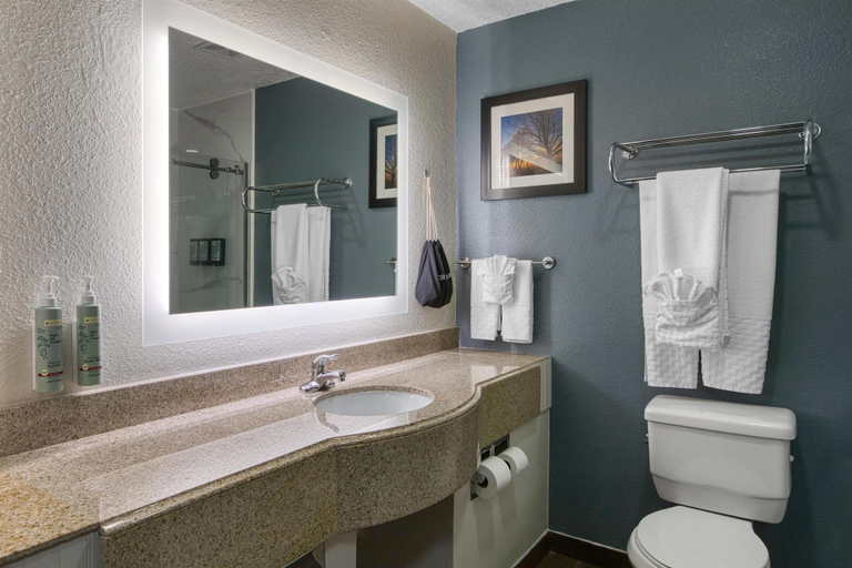 Bathroom 4, Best Western Waldo Inn and Suites, Alachua