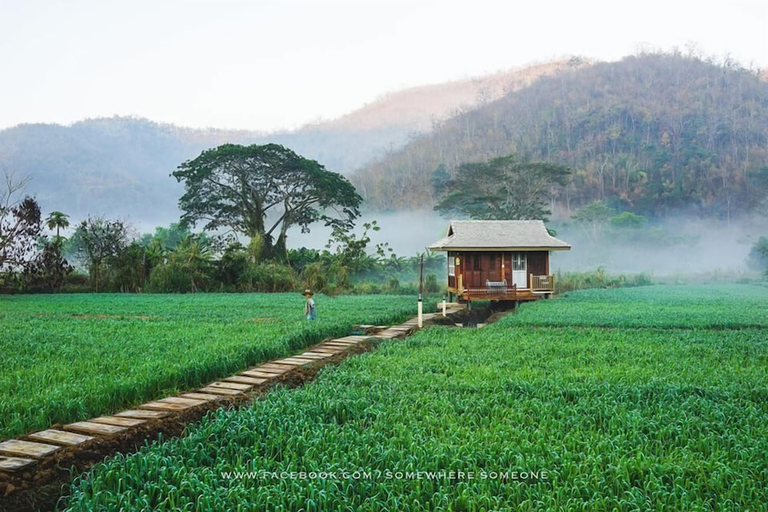 Others 4, Lhongkhao Samoeng, Samoeng