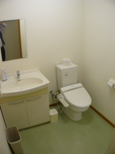 Bathroom 5, Hotel Meigetsu, Arakawa