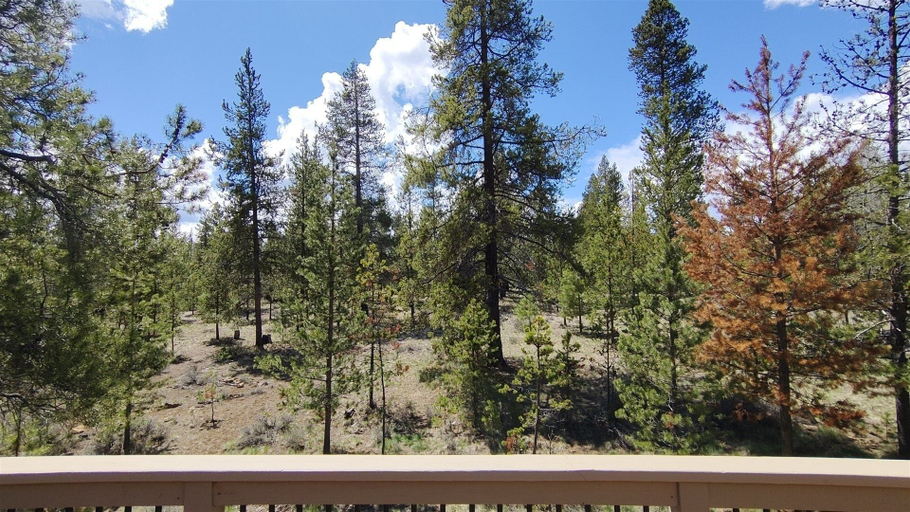 View from property, Tan Oak 2 3 Bedroom Home, Deschutes