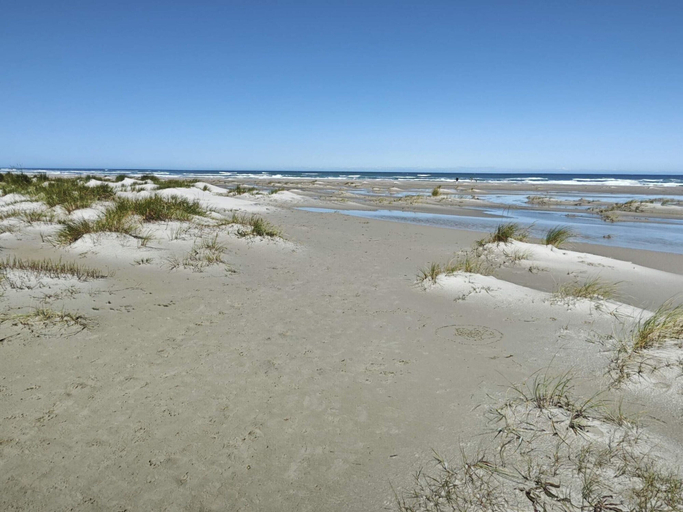 Others 4, 6 Person Holiday Home in Albaek, Frederikshavn