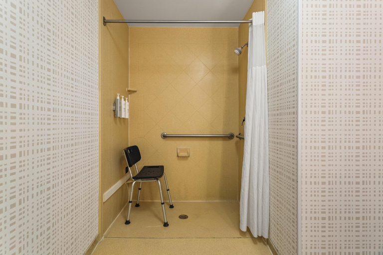 Bathroom 4, Hampton Inn & Suites Port Richey, Pasco