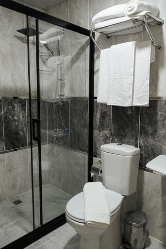 Bathroom 5, HASUNİ TAŞ HOTEL, Merkez