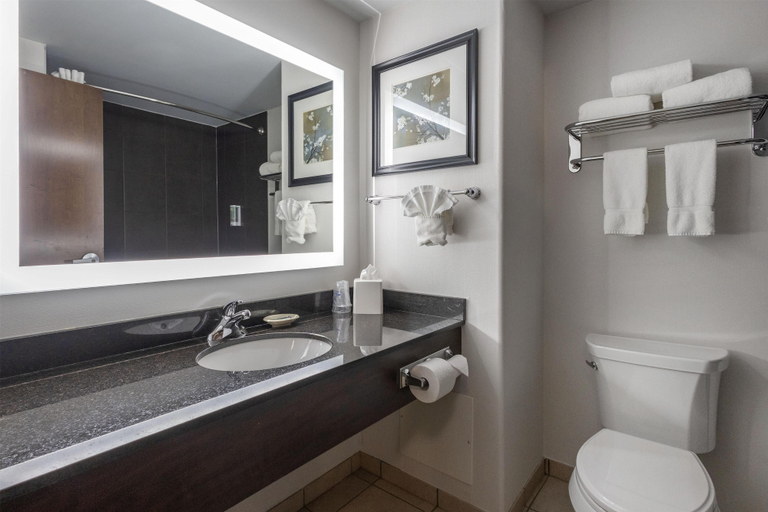 Bathroom 4, Best Western Dawson Creek, Peace River