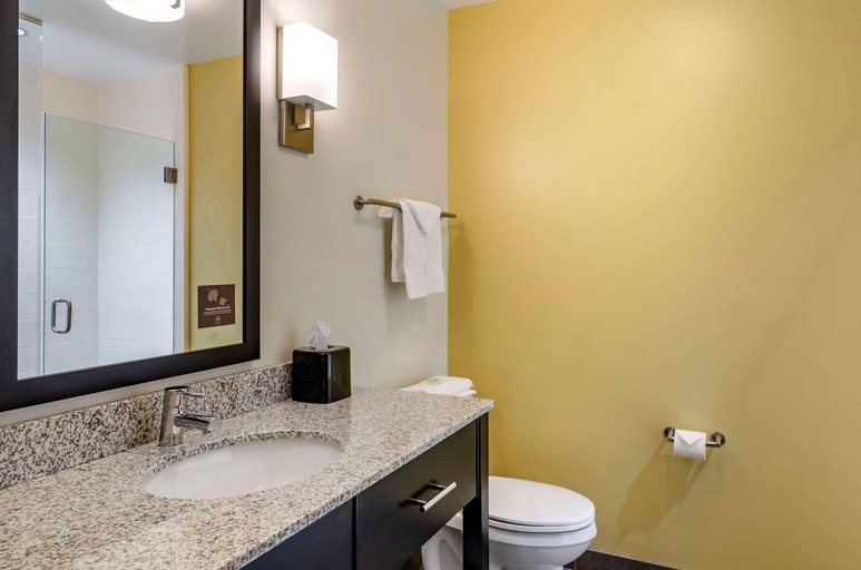 Bathroom 4, Sleep Inn Great Falls airport, Cascade