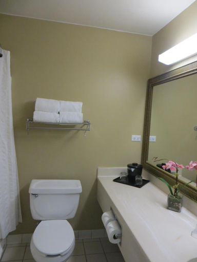 Bathroom 3, Country Inn and Suites By Radisson Gurnee, Lake