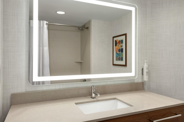 Bathroom 4, Hampton Inn Hagerstown, Washington