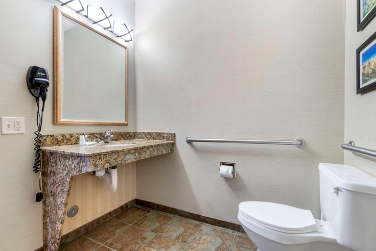 Bathroom 4, Comfort Inn & Suites Mitchell I-90, Davison