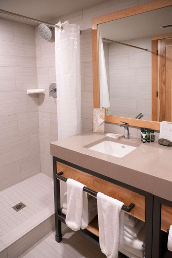 Bathroom 4, Tunnel Mountain Resort, Division No. 15