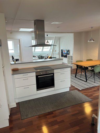 Private kitchen 5, Classic Brownstone Apartments and Rooms, Frederiksberg