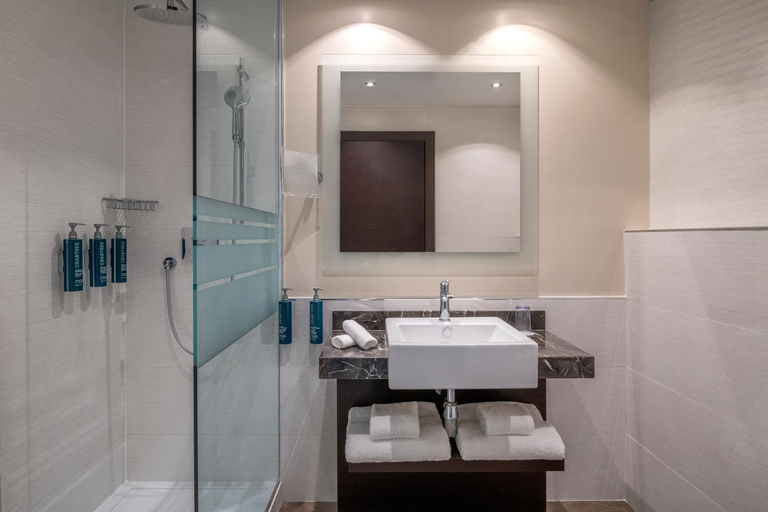 Bathroom 4, Hilton Geneva Hotel & Conference Centre, Genève