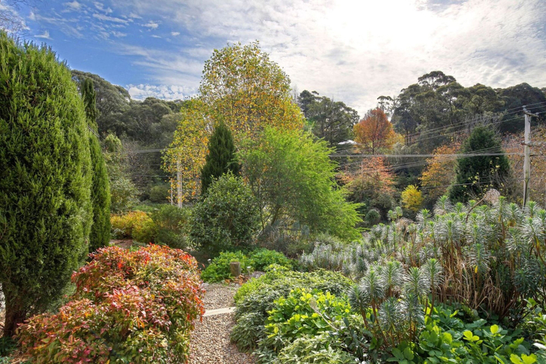 Property grounds 5, Little Haven Leura Cottage With Spa Bath and BBQ, Blue Mountains