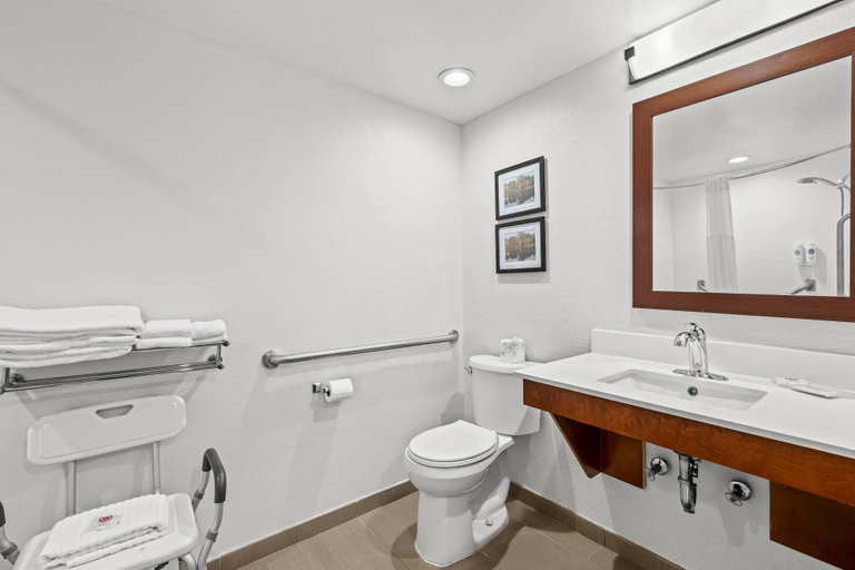 Bathroom 5, Comfort Inn & Suites Oxford South, Granville