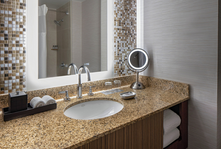 Bathroom 5, Hyatt Regency Denver Tech Center, Denver