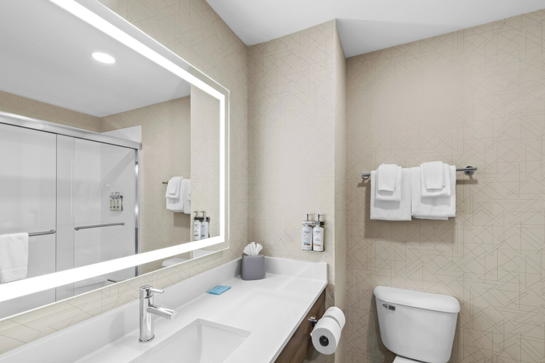 Bathroom 4, Holiday Inn Express & Suites COUNCIL BLUFFS - CONV CTR AREA by IHG, Pottawattamie