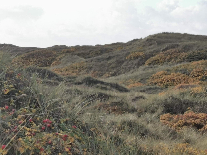 Others 3, Cozy Holiday Home in Henne near Sea, Varde