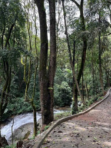 View from property 2, Nirjhara Coorg, Kodagu
