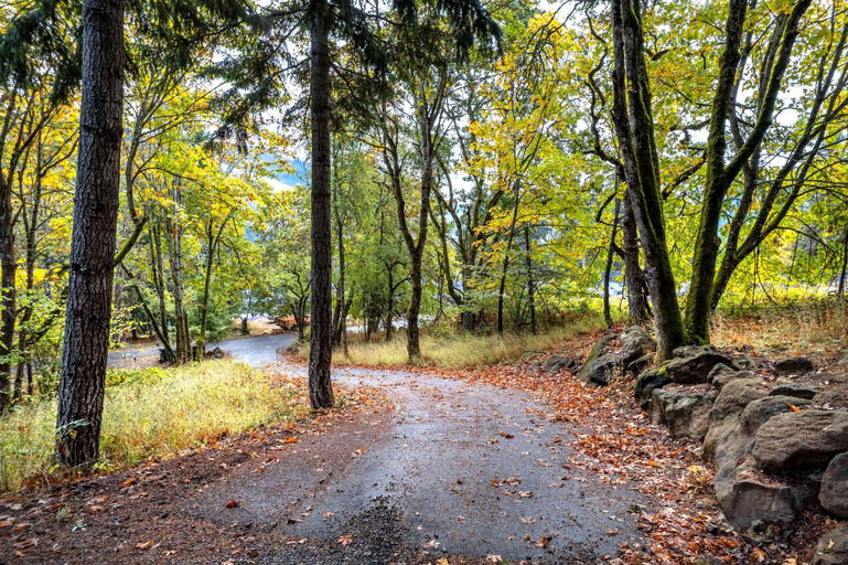 Miscellaneous 4, Evergreen Retreat B 30 Night Minimum 1 Bedroom Apts, Klickitat