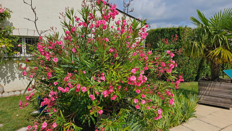 Others 2, Gite Pause au jardin , Indre-et-Loire