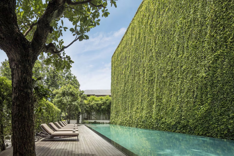 Sport & Beauty 5, 137 Pillars House Chiang Mai, Muang Chiang Mai