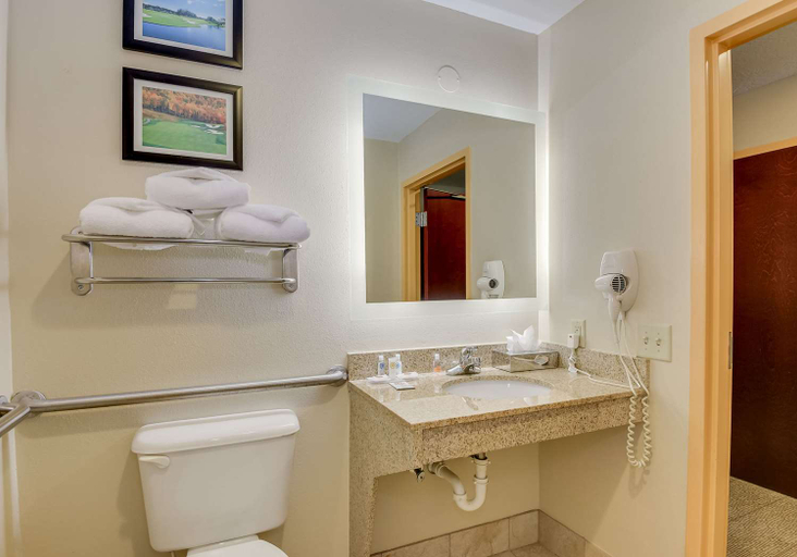 Bathroom 4, Comfort Inn & Suites Augusta Fort Gordon Area, Richmond