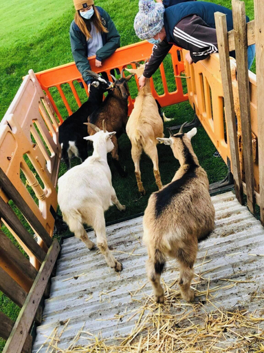 Miscellaneous 4, Cabin at Animal Rescue Sanctuary - Sleeps 2, Lancashire