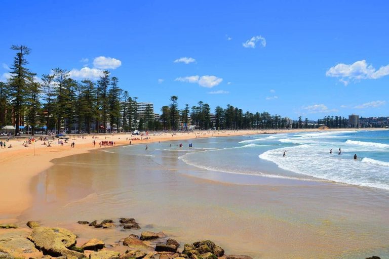View from property, Stunning Ocean Views With Manly At Your Doorstep, Sydney