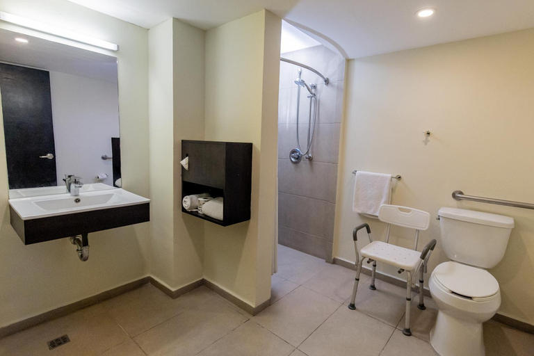 Bathroom 4, Comfort Inn San Luis Potosi, San Luis Potosí