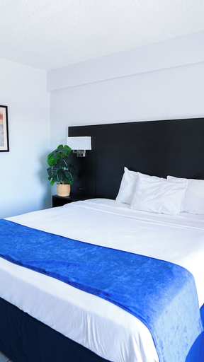 Bedroom 2, Sun and Sand Resort Oceanfront Suites, Virginia Beach