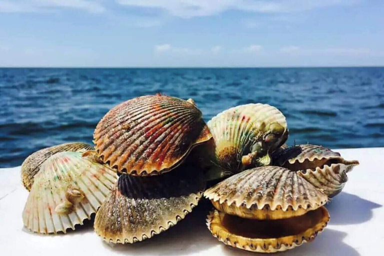 Fishing, Manatee Cove Retreat | Pet-Friendly Coastal Home Sleeps 6, Citrus