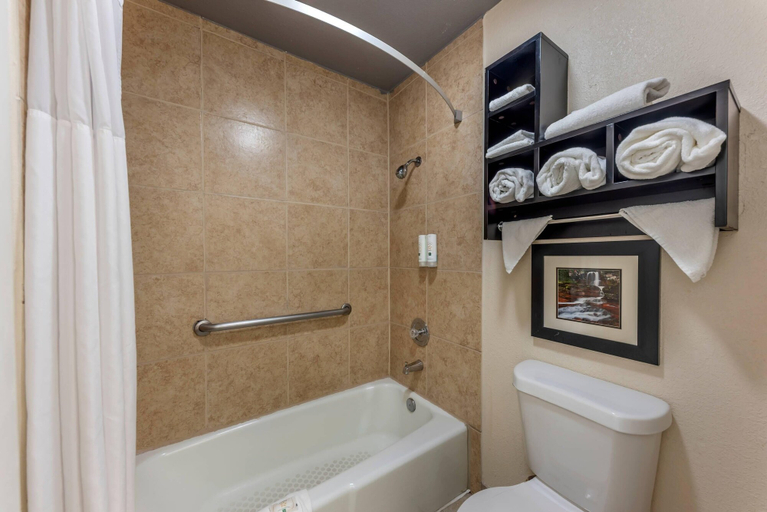 Bathroom 5, Quality Inn Near Lake Marble Falls, Burnet