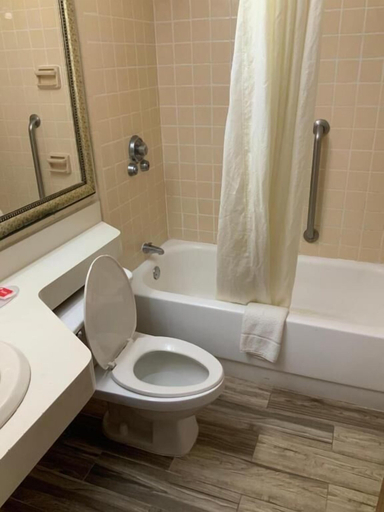 Bathroom 4, Perry Inn & Suites National Fairground I 75, Houston
