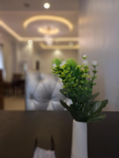 Restaurant 2, Asato Hotel, Oshimili South