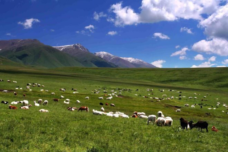 Others 5, Xilamuren Mongolian Prairie Resort, Baotou