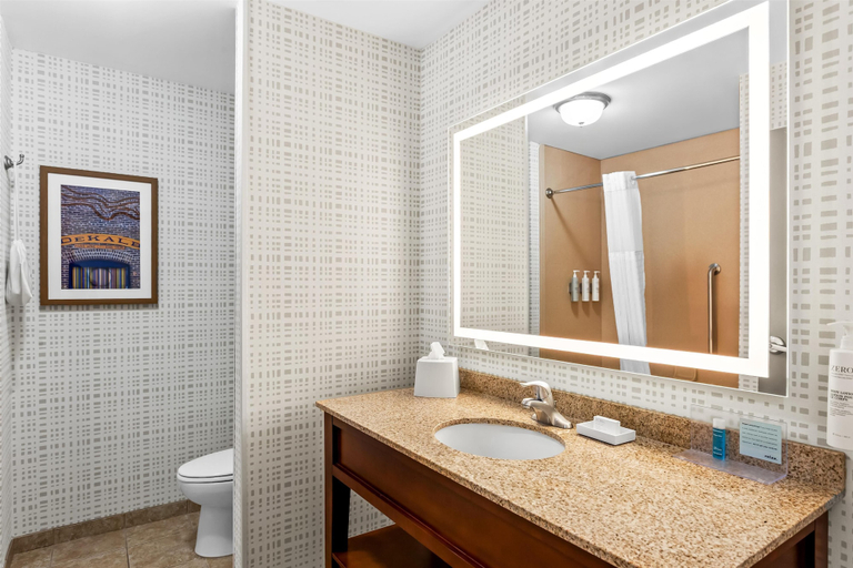 Bathroom 4, Hampton Inn DeKalb, IL, De Kalb