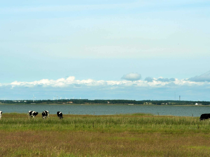 Others 4, 4 Star Holiday Home in Blavand, Varde