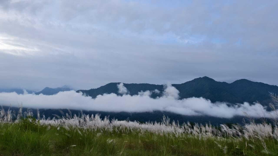 View from property 4, AALTAPORI HOMESTAY, Alipurduar