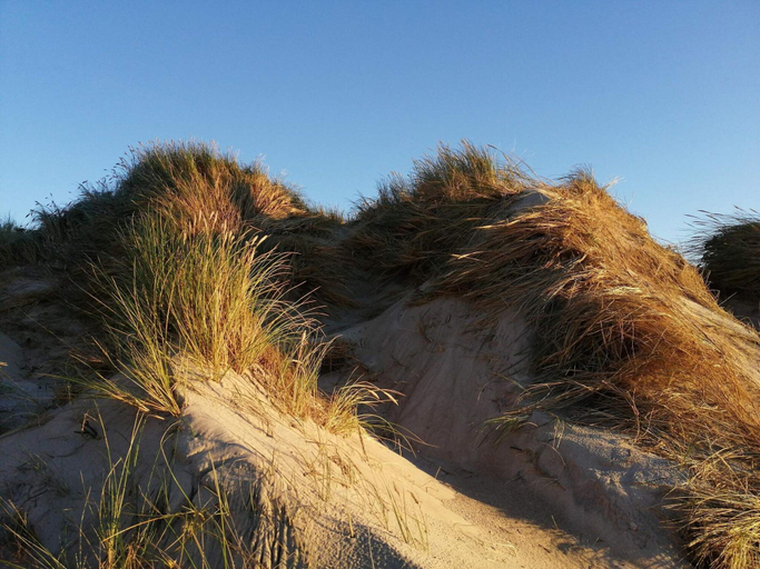 Others 4, 5 star holiday home in Ringkøbing, Ringkøbing-Skjern