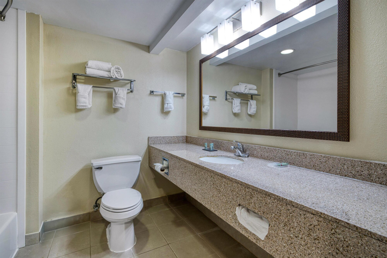 Bathroom 5, Best Western Fishers/Indianapolis Area, Hamilton