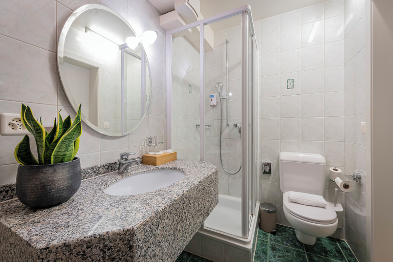 Bathroom 3, Hôtel du Cheval Blanc - City Center, La Gruyère