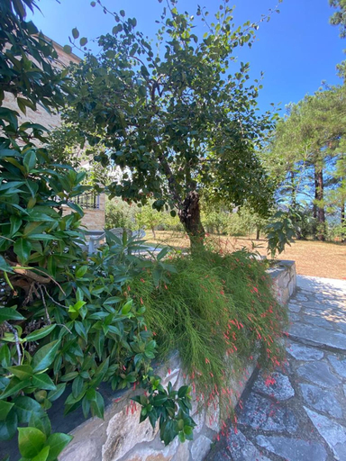 Room 5, Anatoli Garden View - Cozy Thassos Getaway, East Macedonia and Thrace