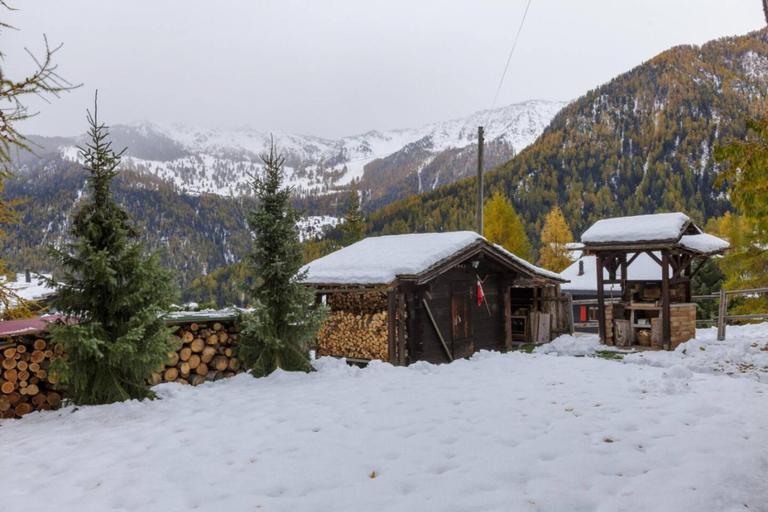 Room 5, Beautiful Apartment Under Owners Chalet, Martigny