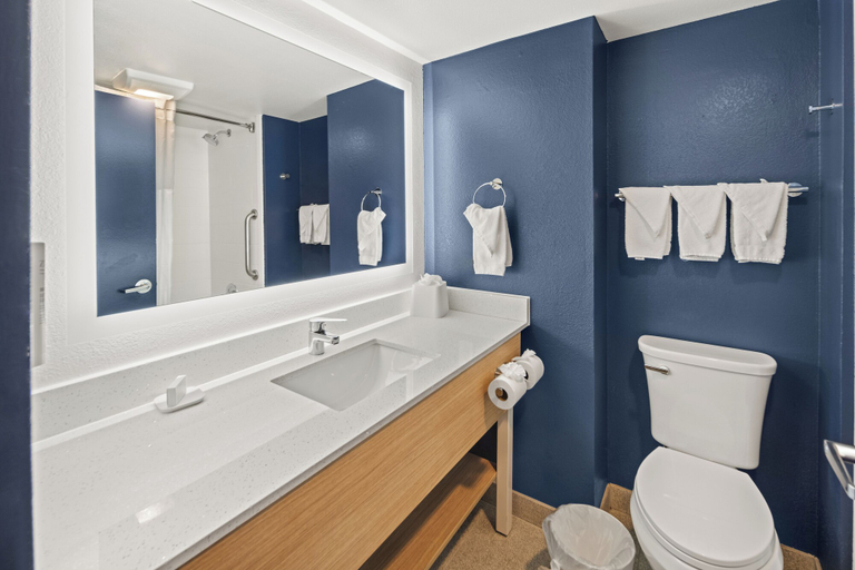 Bathroom 5, Spark by Hilton Waldorf, Charles
