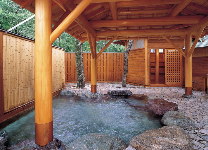Others 5, Tateyama Prince Hotel(立山プリンスホテル), Ōmachi