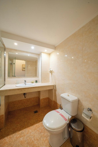 Bathroom 4, Paliria Hotel, Central Greece