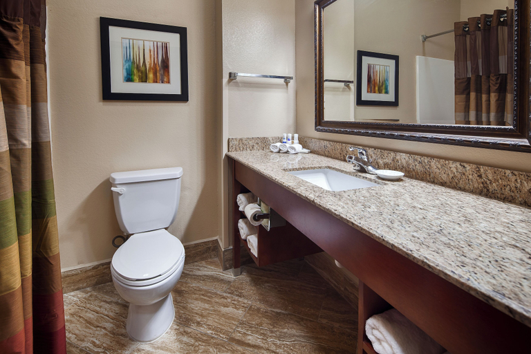 Bathroom 4, Best Western Plus Monahans Inn & Suites, Ward