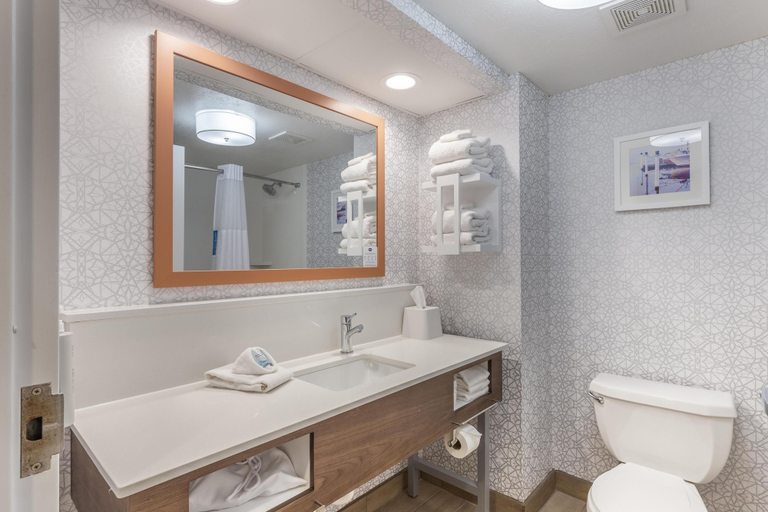Bathroom 4, Hampton Inn New Bern, Craven
