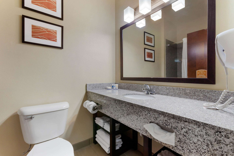 Bathroom 4, Comfort Inn & Suites Page at Lake Powell, Coconino