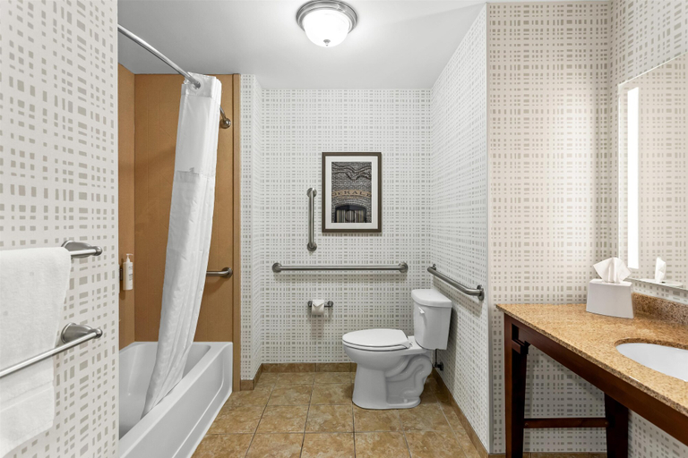 Bathroom 4, Hampton Inn DeKalb, IL, De Kalb